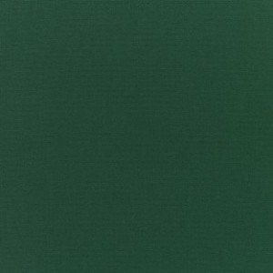Canvas Forest Green 5446-0000 (Group 12)